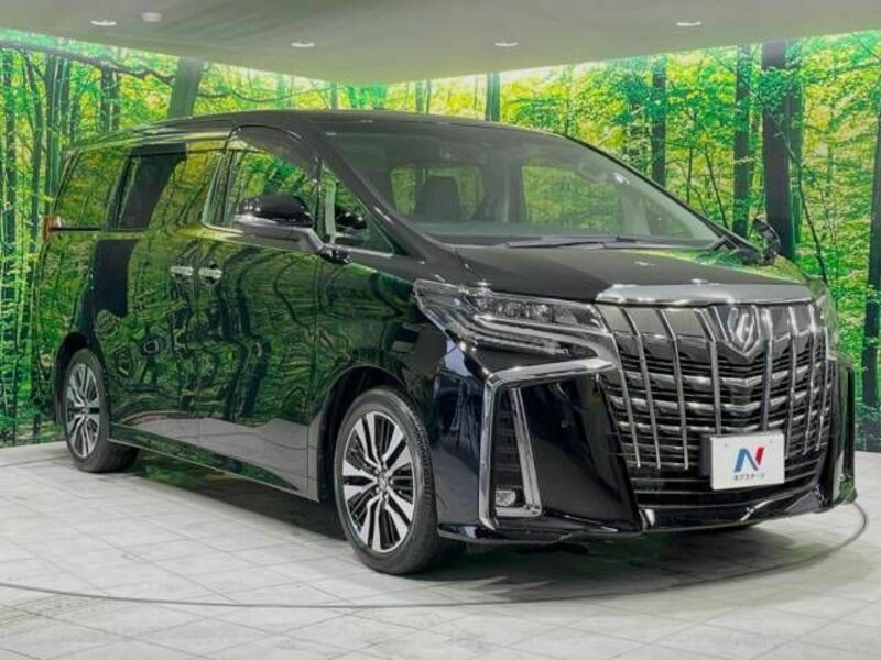 ALPHARD-17