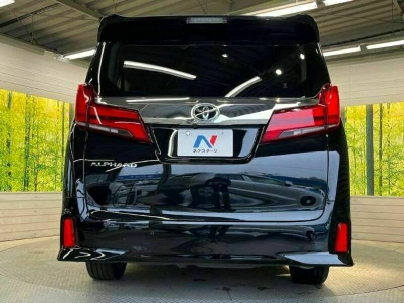 ALPHARD-16