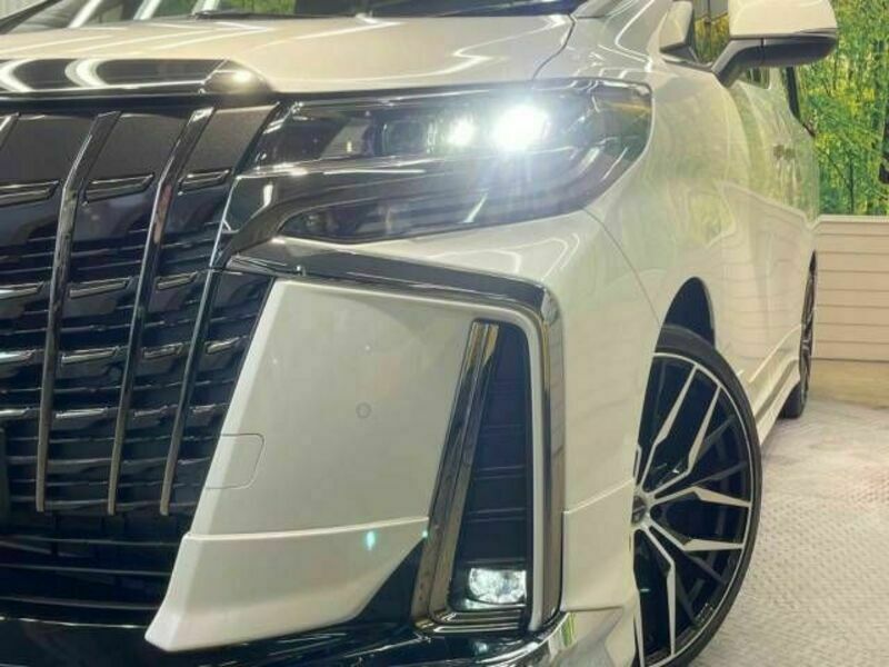 ALPHARD-13