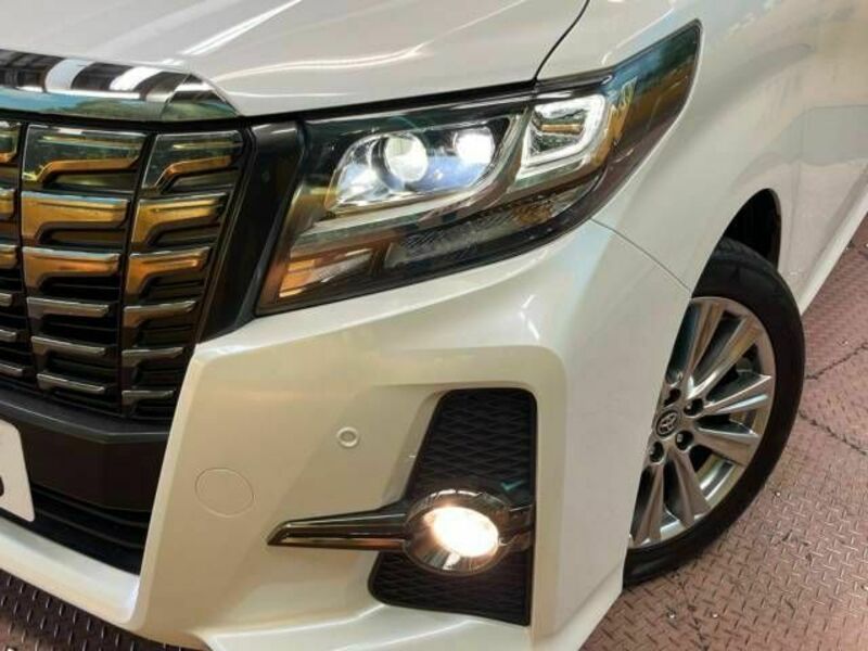 ALPHARD-12