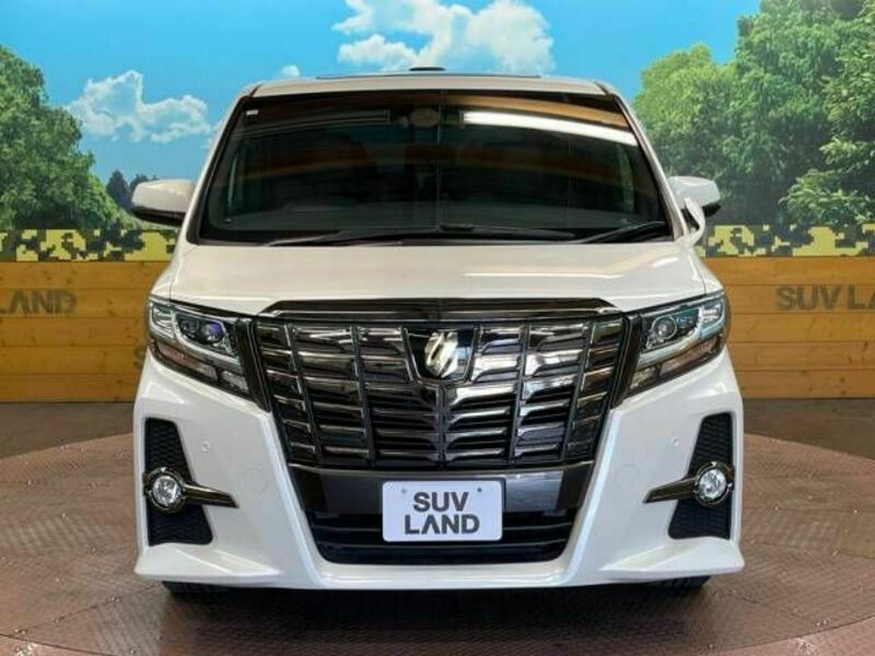 ALPHARD-14