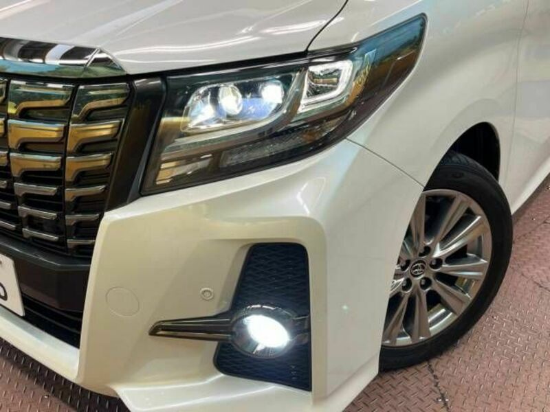 ALPHARD-13