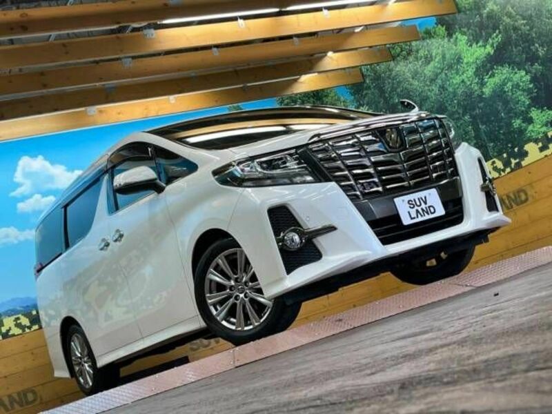 ALPHARD-17