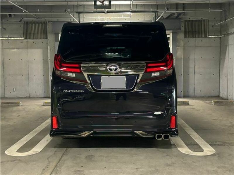 ALPHARD-11