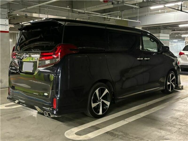 ALPHARD-12