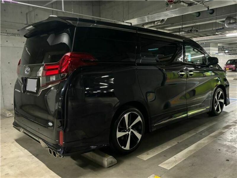 ALPHARD-13