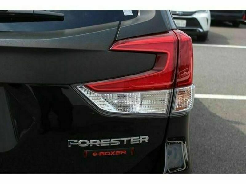 FORESTER-7