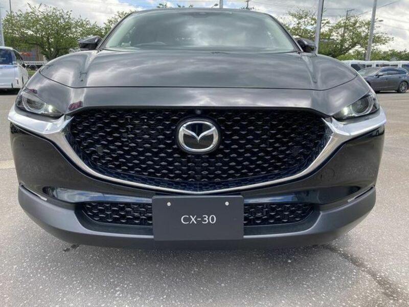 CX-30-1