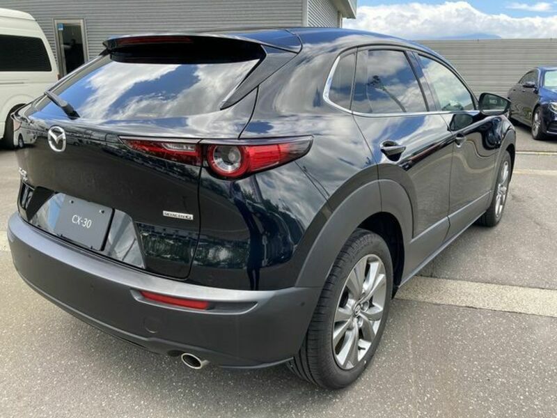 CX-30-6