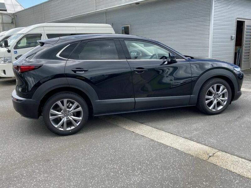 CX-30-7