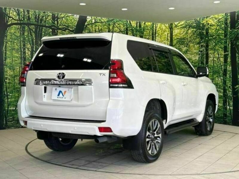 LAND CRUISER PRADO-18