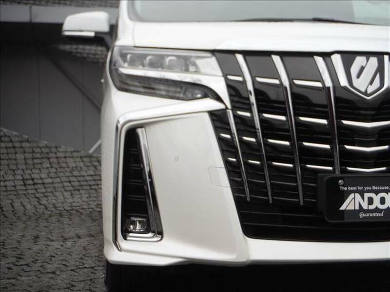 ALPHARD-7