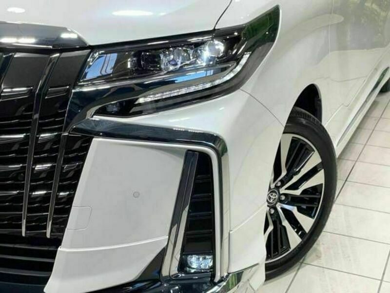 ALPHARD-13