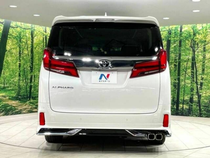 ALPHARD-16