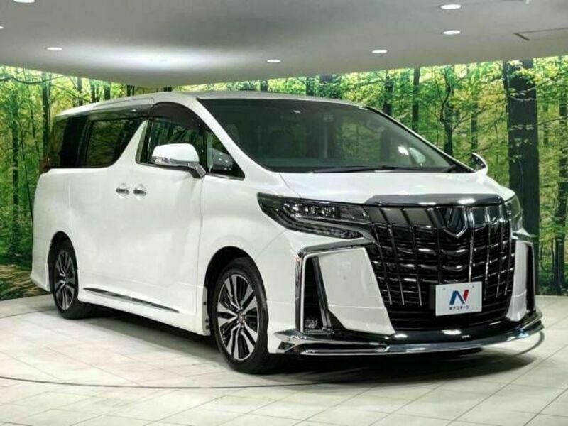 ALPHARD-17