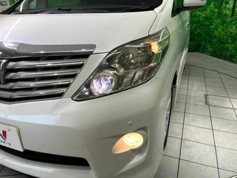 ALPHARD-14