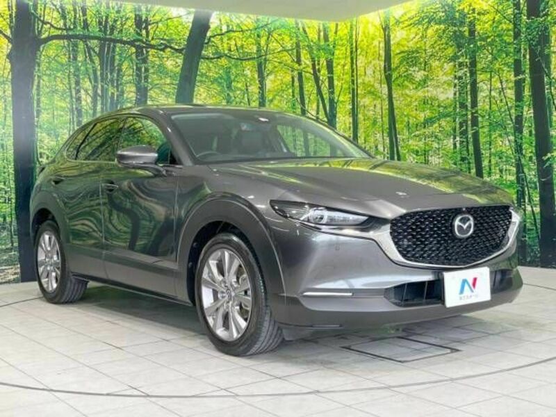 CX-30-16