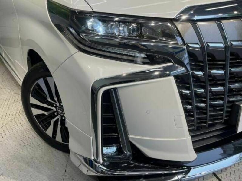 ALPHARD-13