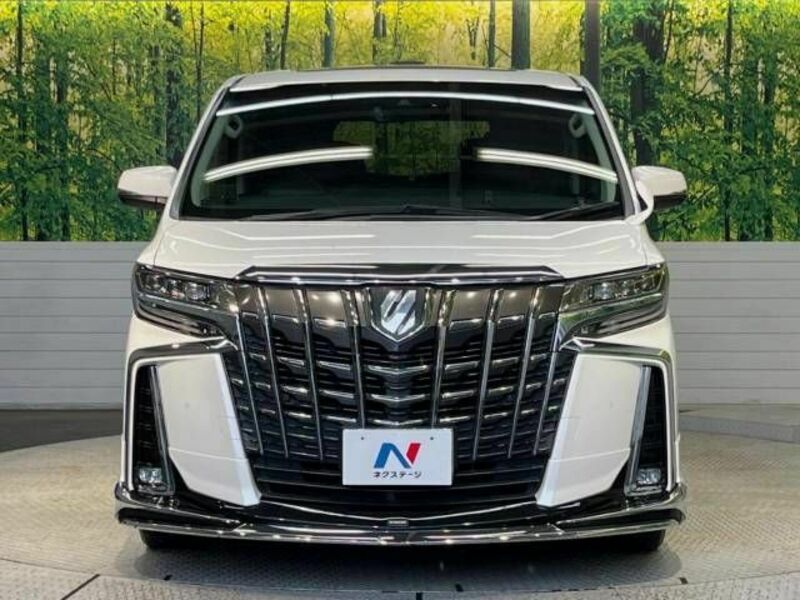 ALPHARD-15