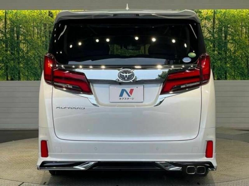 ALPHARD-16