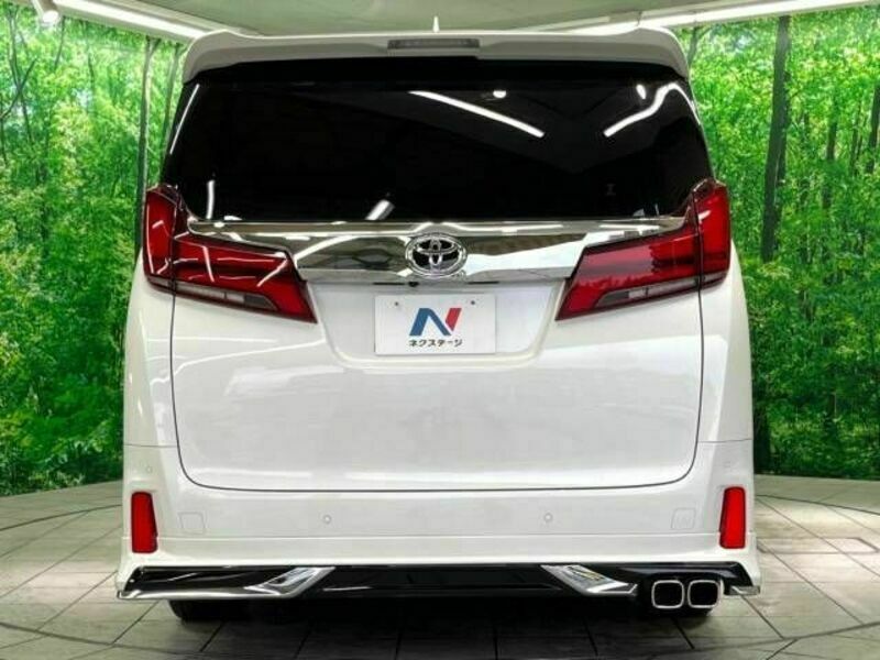 ALPHARD-16