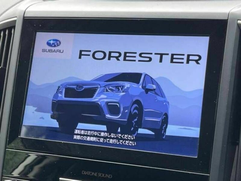 FORESTER-7