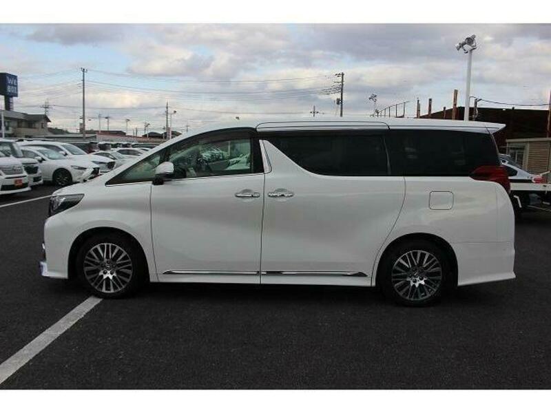 ALPHARD-6