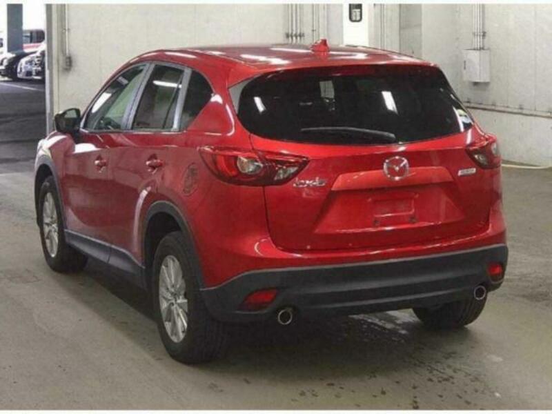 CX-5-4