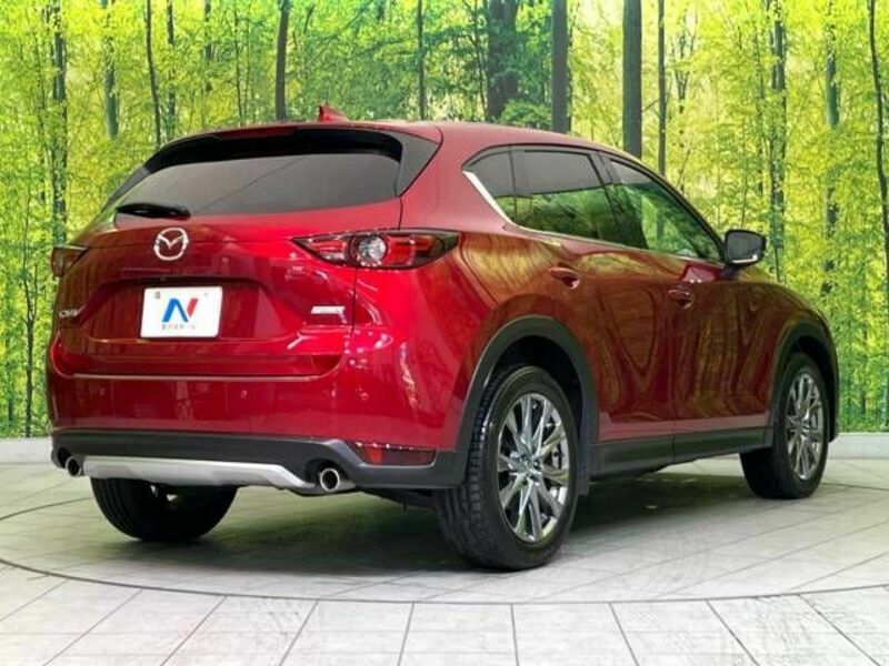 CX-5-16