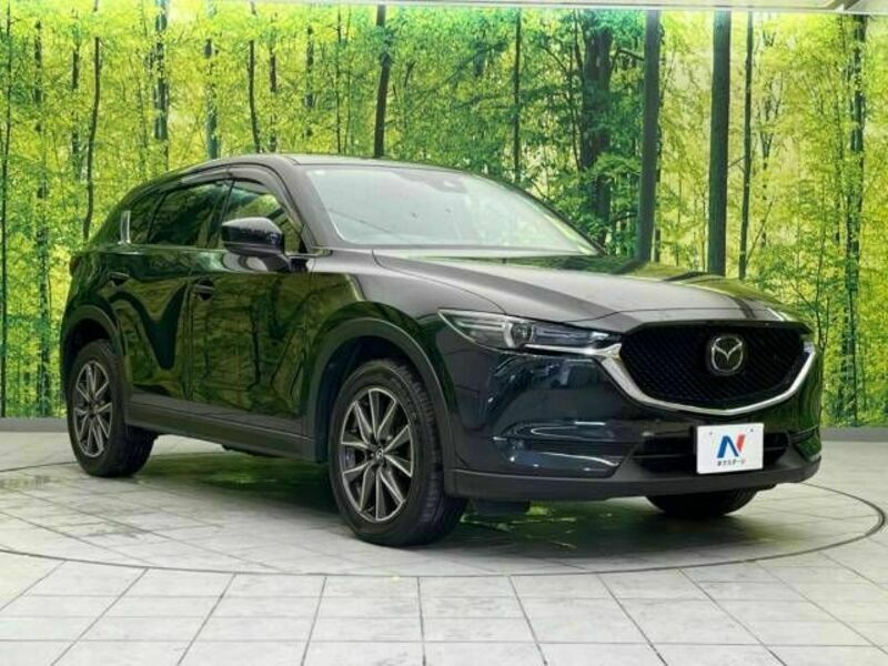 CX-5-16