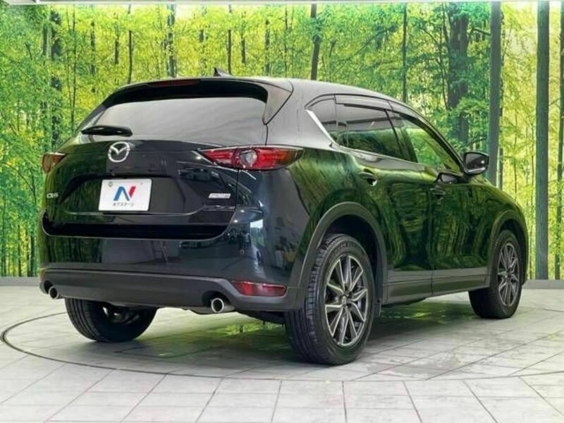 CX-5-17