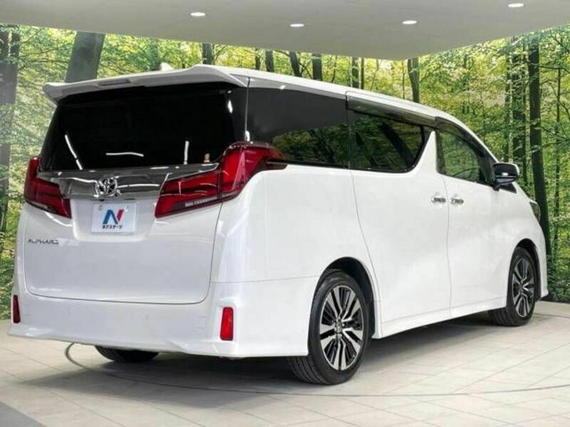 ALPHARD-18