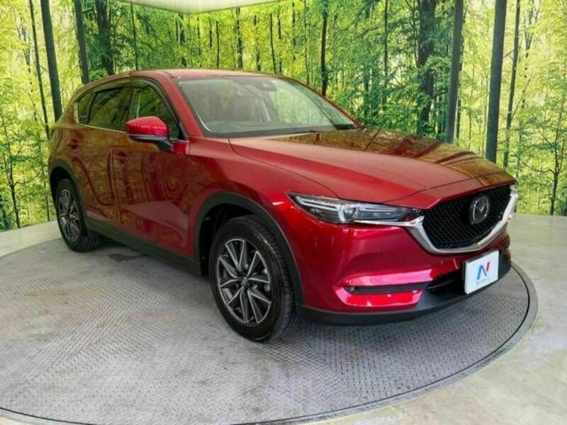 CX-5-16