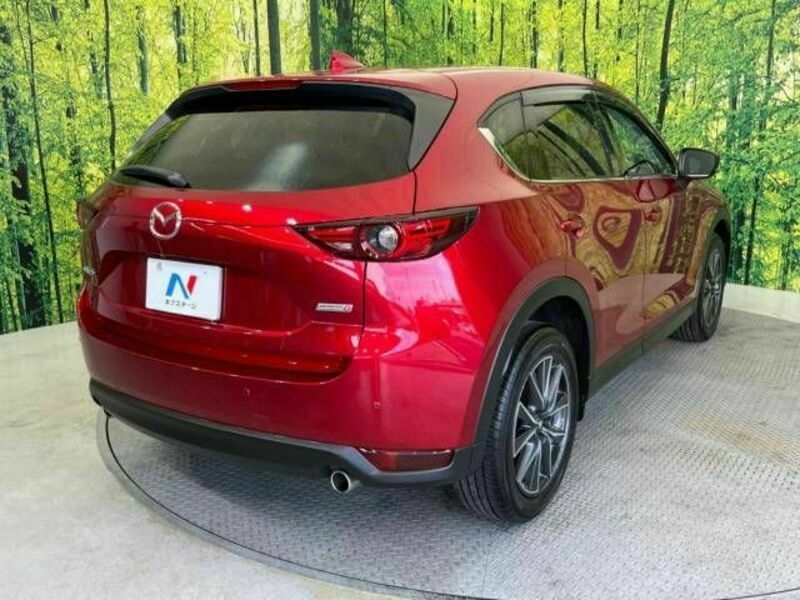 CX-5-17