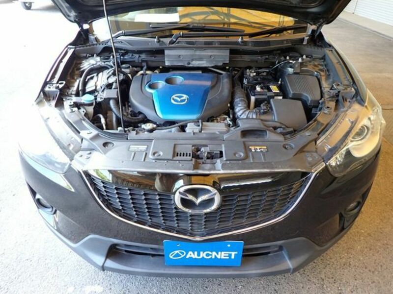 CX-5-23