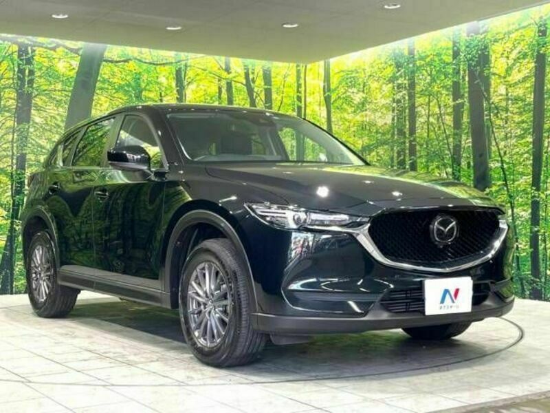 CX-5-16