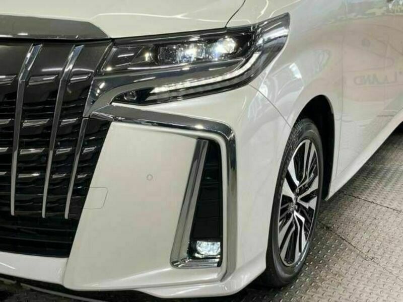 ALPHARD-13