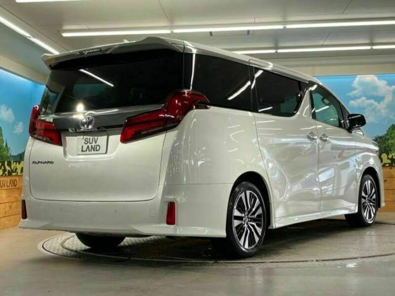 ALPHARD-18