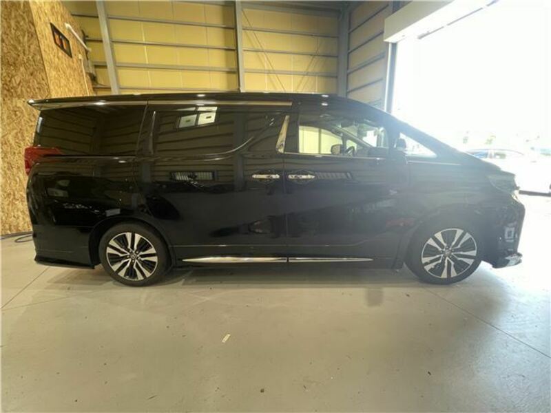 ALPHARD-3