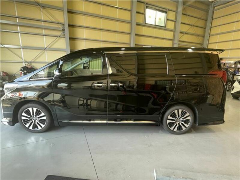 ALPHARD-7