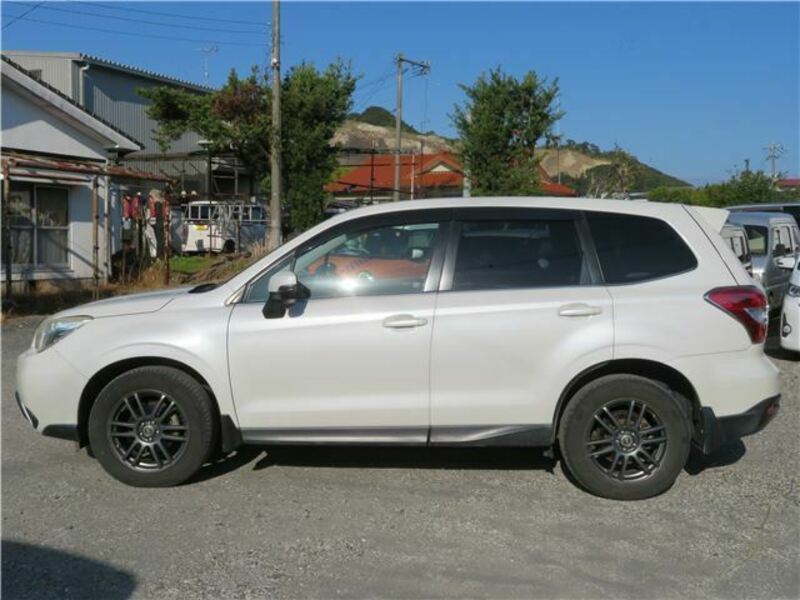 FORESTER-3