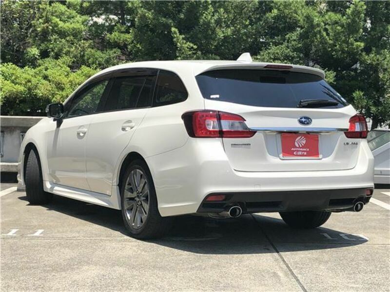 LEVORG-6