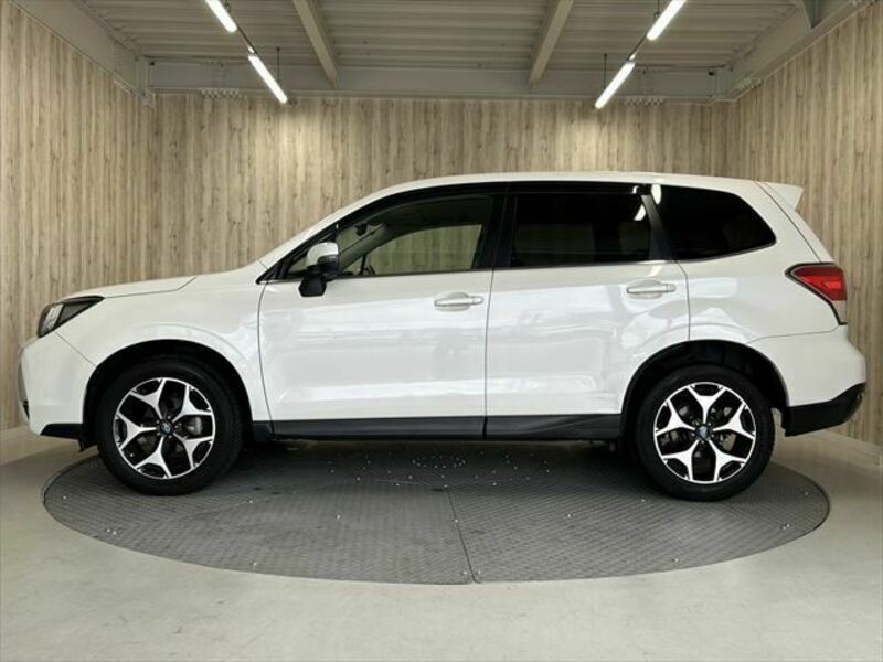 FORESTER-7