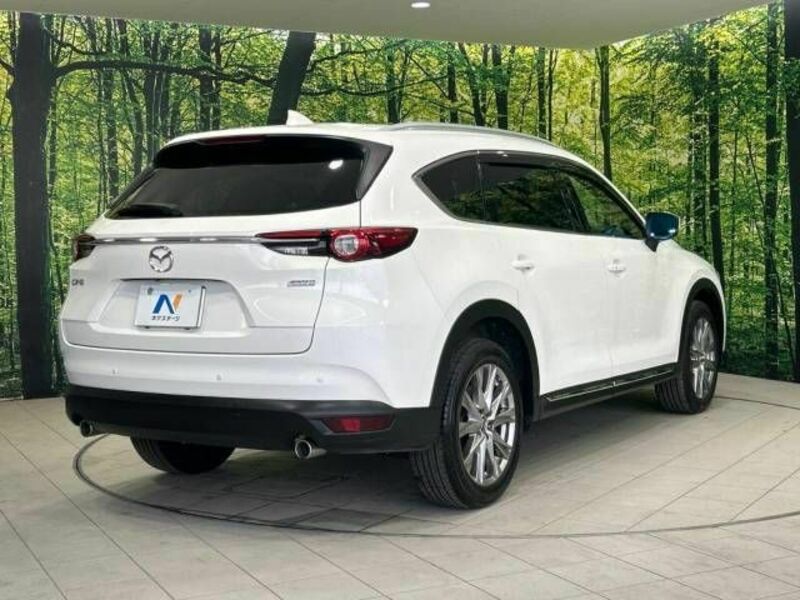 CX-8-17