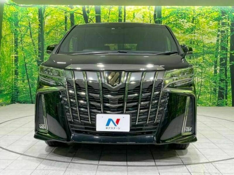 ALPHARD-15