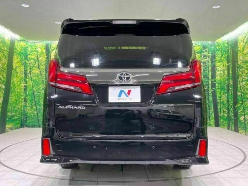 ALPHARD-16