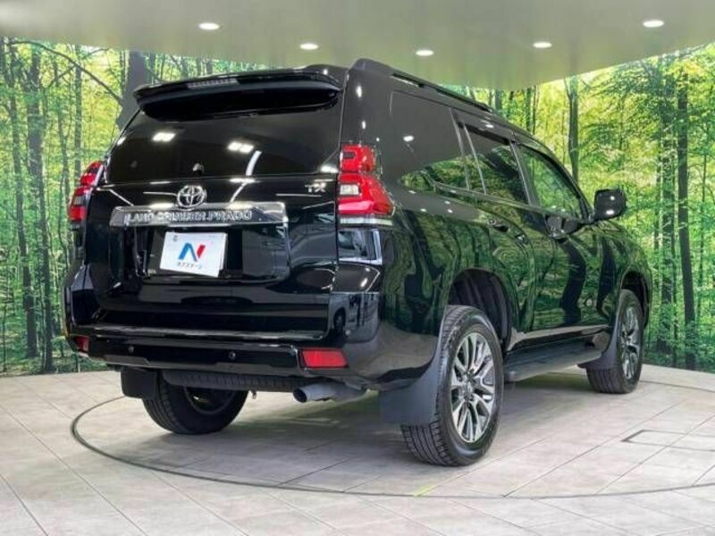 LAND CRUISER PRADO-17