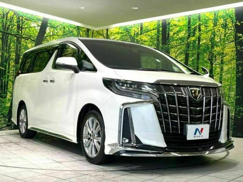 ALPHARD-16