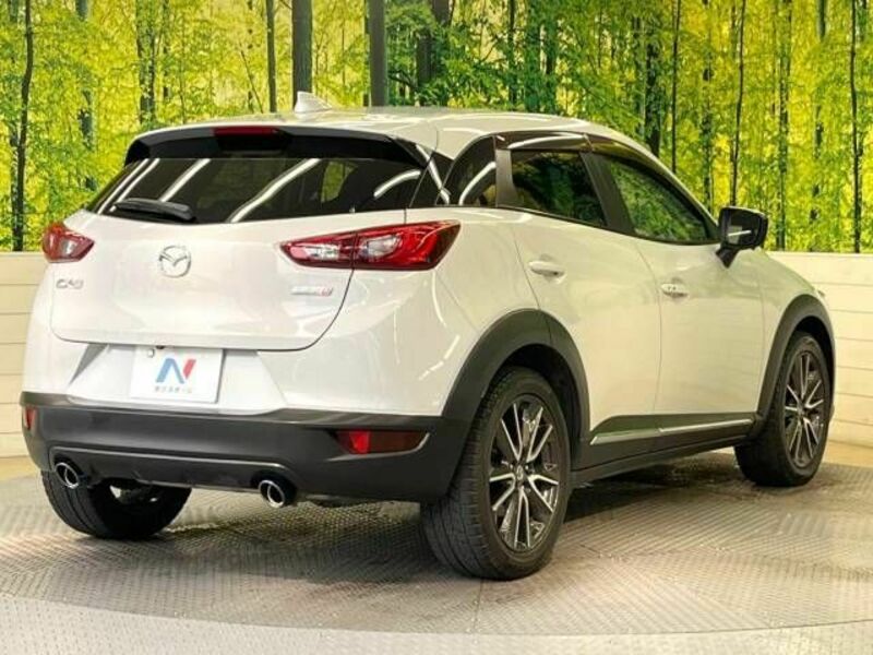 CX-3-17