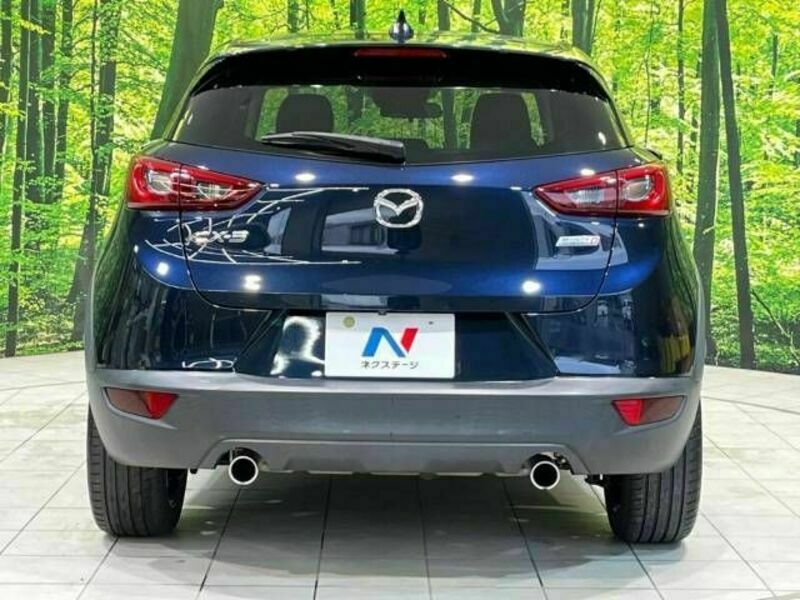 CX-3-15